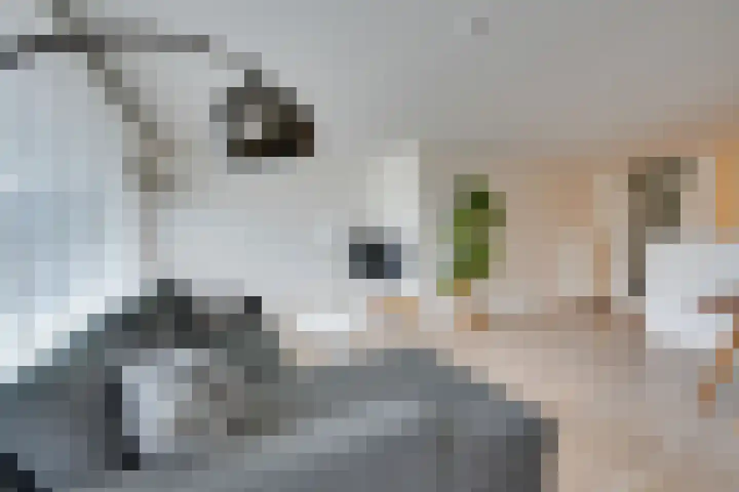 Zeezigt 258 Diemen thumbnail 6