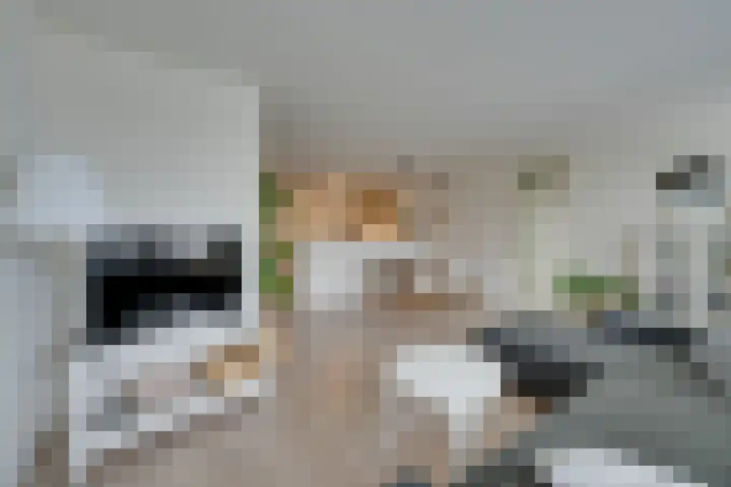Zeezigt 258 Diemen thumbnail 8