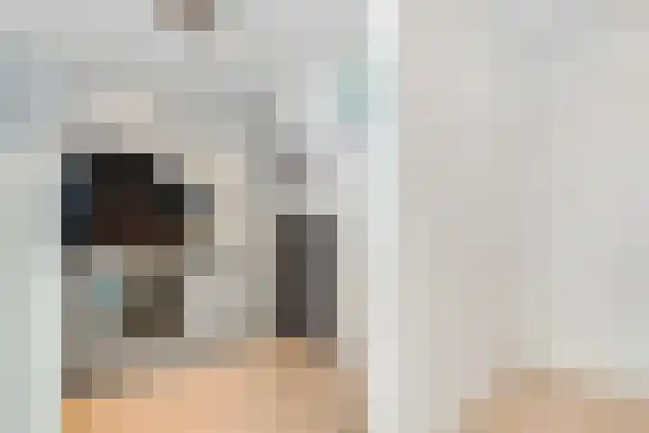 Zeezigt 288 Diemen thumbnail 14