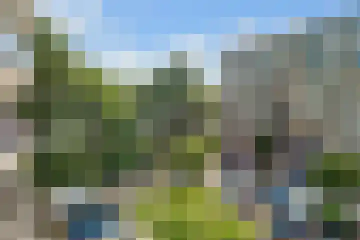 Zeezigt 288 Diemen thumbnail 28