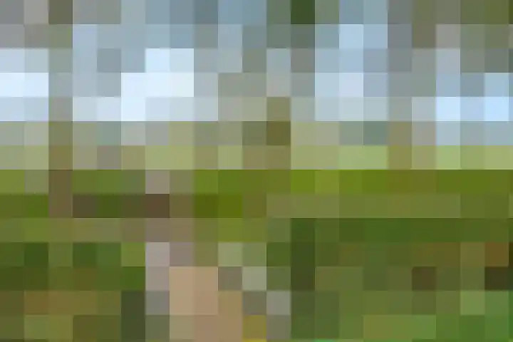 Zeezigt 288 Diemen thumbnail 29