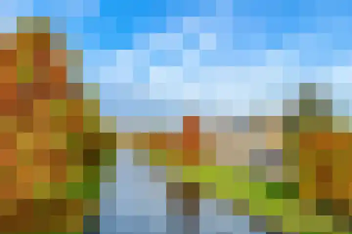 Zeezigt 288 Diemen thumbnail 32