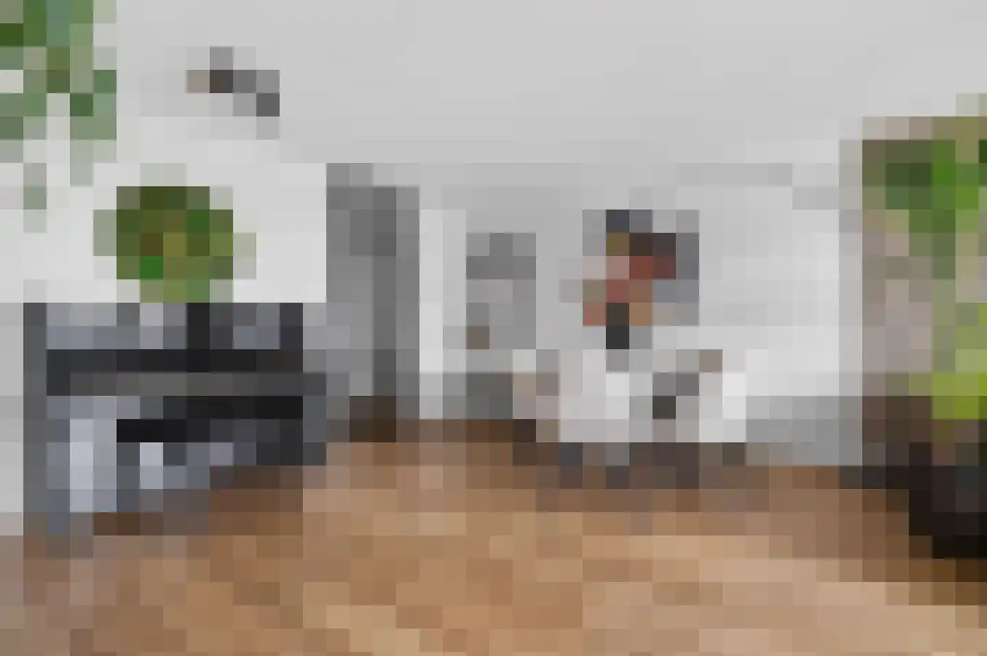 Zeezigt 312 Diemen thumbnail 22