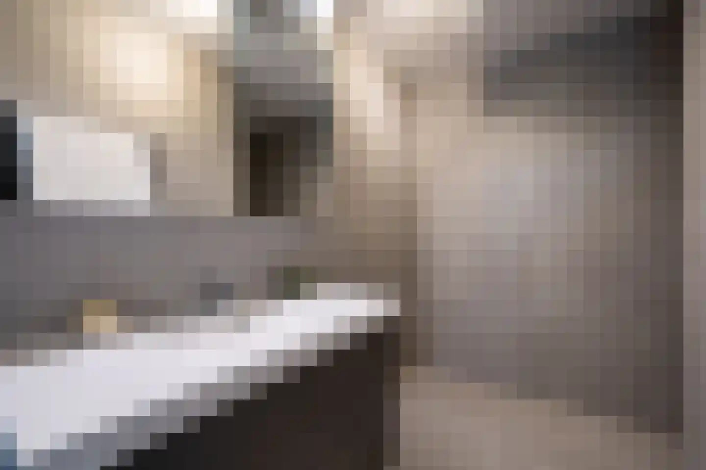 Zeezigt 316 Diemen thumbnail 20