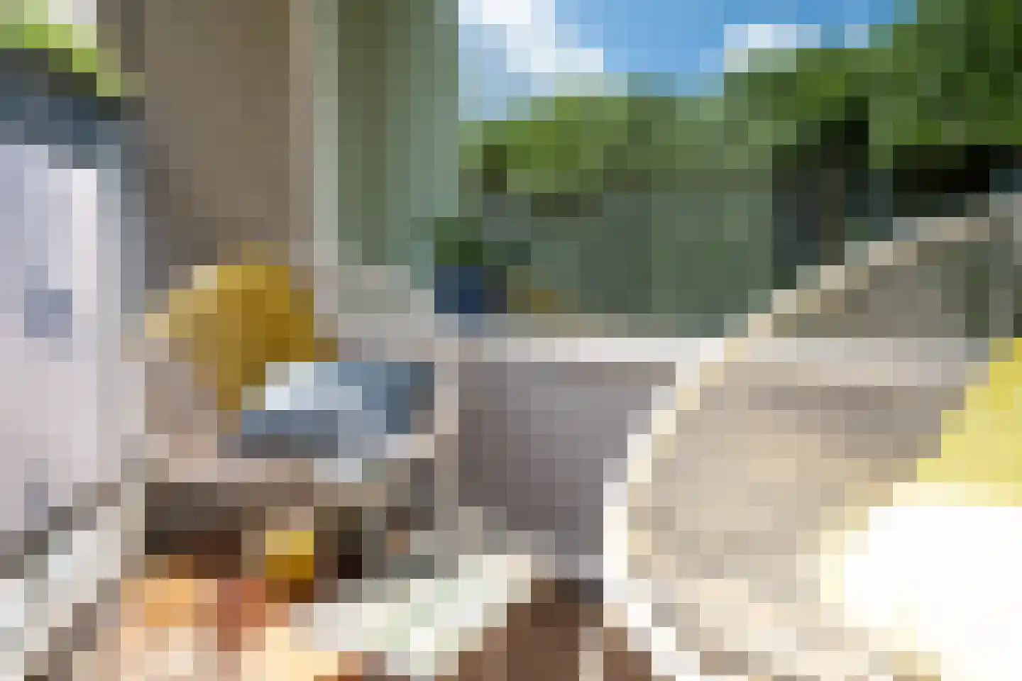 Zeezigt 316 Diemen thumbnail 4