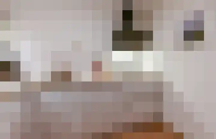 Zeezigt 334 Diemen thumbnail 10
