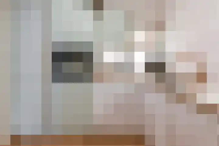 Zeezigt 334 Diemen thumbnail 11