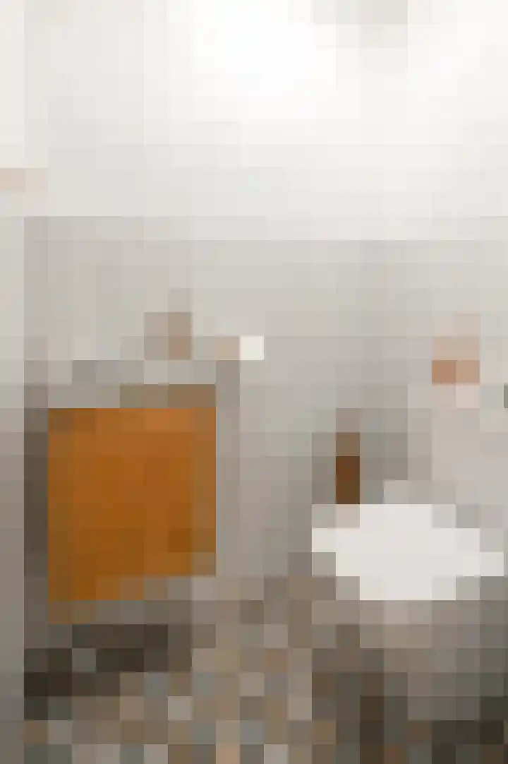 Zeezigt 334 Diemen thumbnail 19