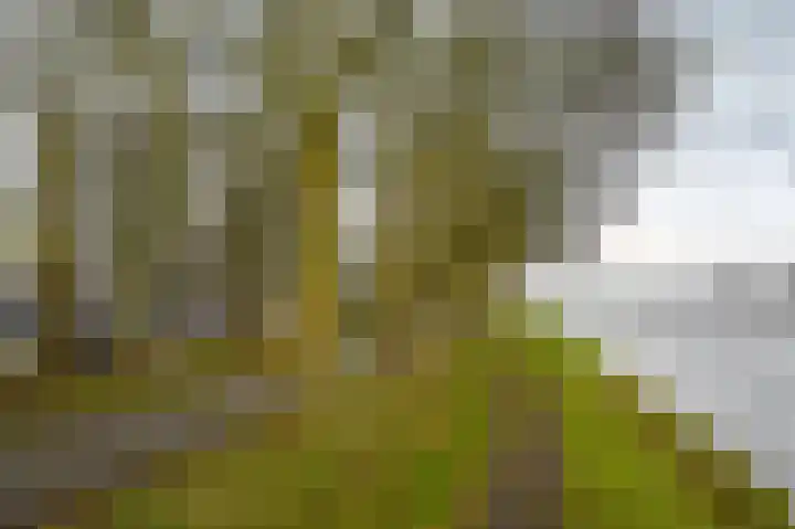 Zeezigt 334 Diemen thumbnail 30