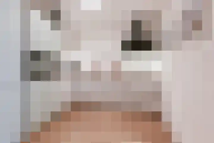 Zeezigt 334 Diemen thumbnail 9
