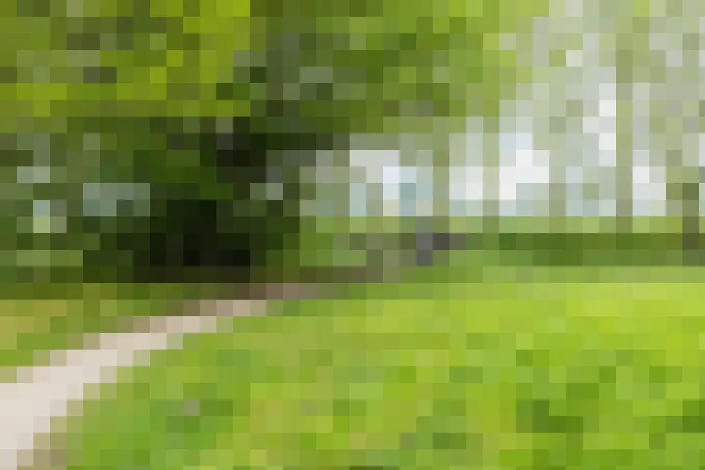 Zeezigt 338 Diemen thumbnail 32