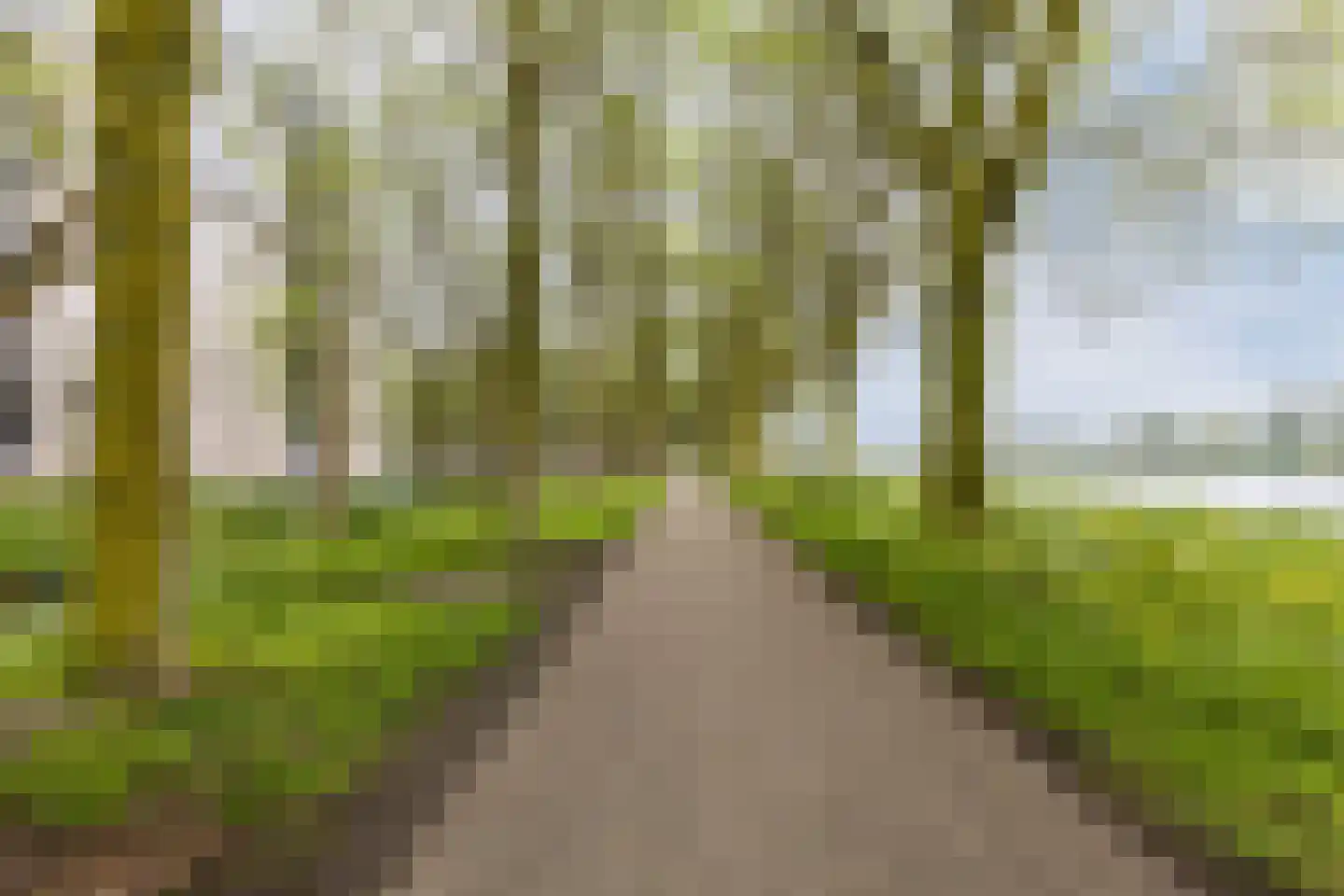 Zeezigt 338 Diemen thumbnail 33