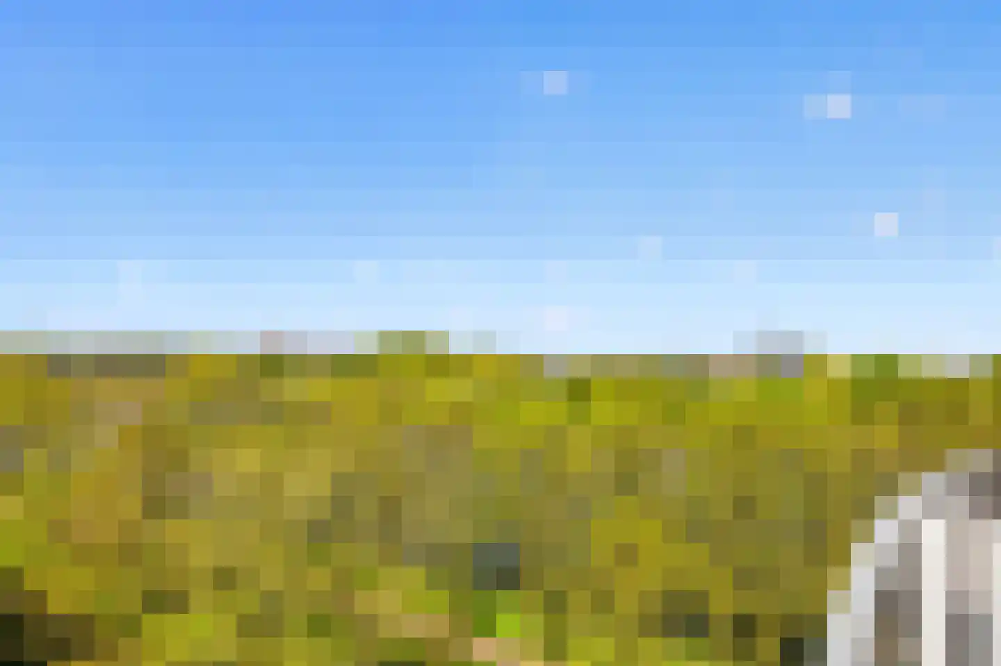 Zeezigt 358 Diemen thumbnail 13