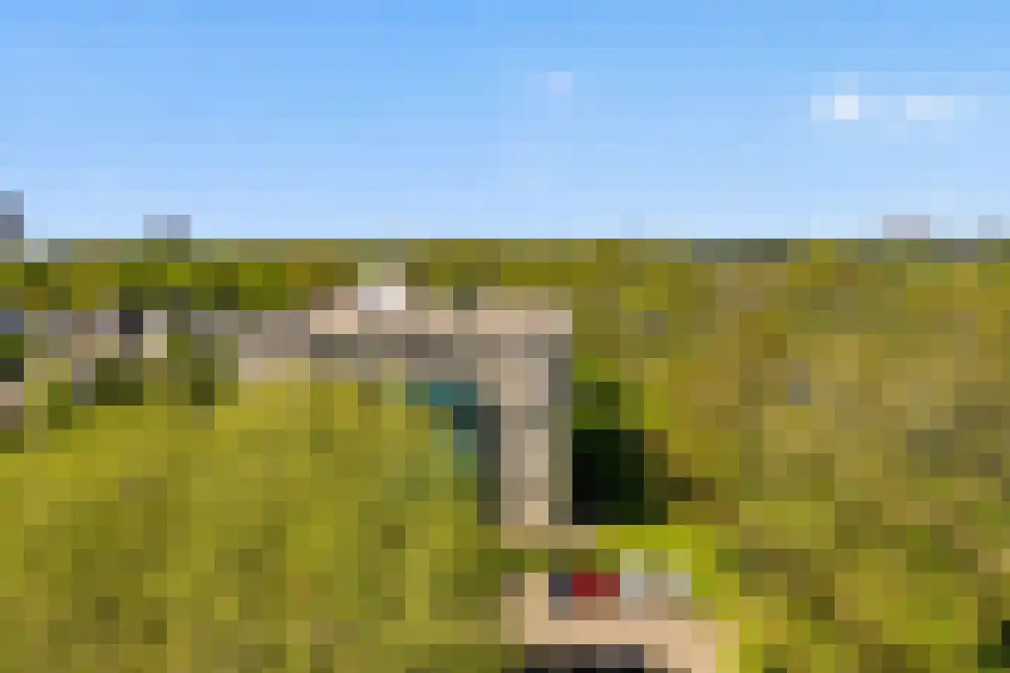 Zeezigt 358 Diemen thumbnail 14