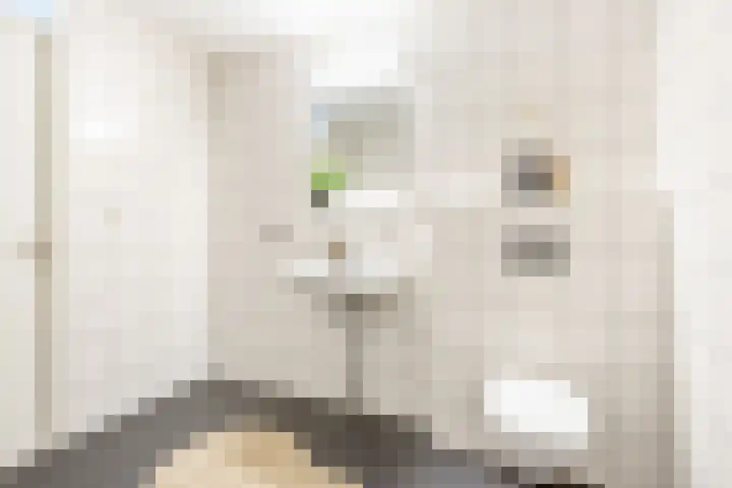 Zeezigt 378 Diemen thumbnail 24