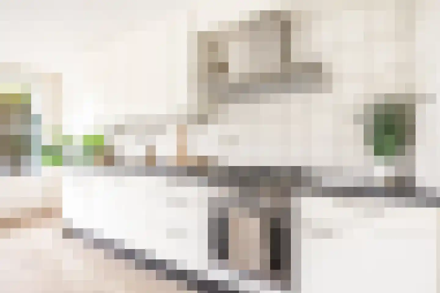 Zeezigt 378 Diemen thumbnail 9