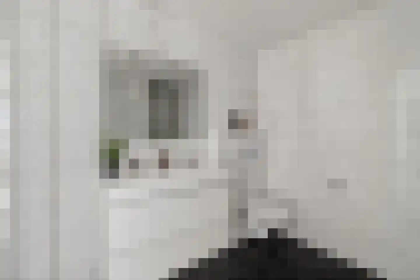 Zeezigt 394 Diemen thumbnail 28