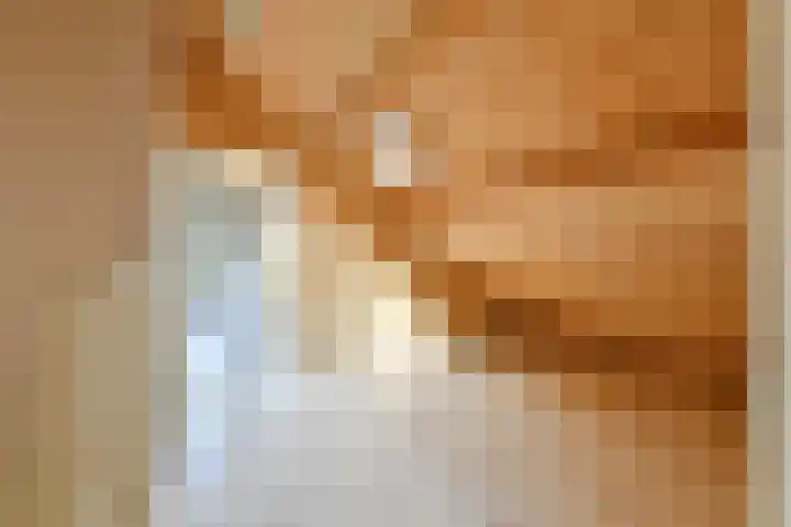 Zeezigt 424 Diemen thumbnail 10