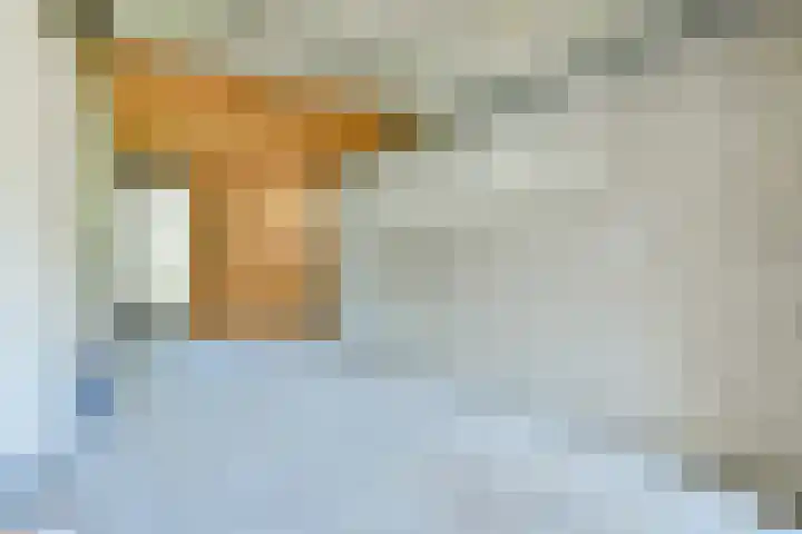 Zeezigt 424 Diemen thumbnail 13