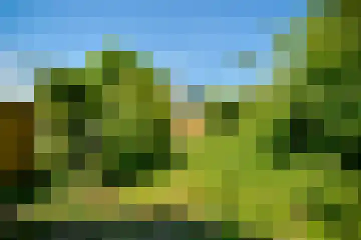 Zeezigt 424 Diemen thumbnail 14