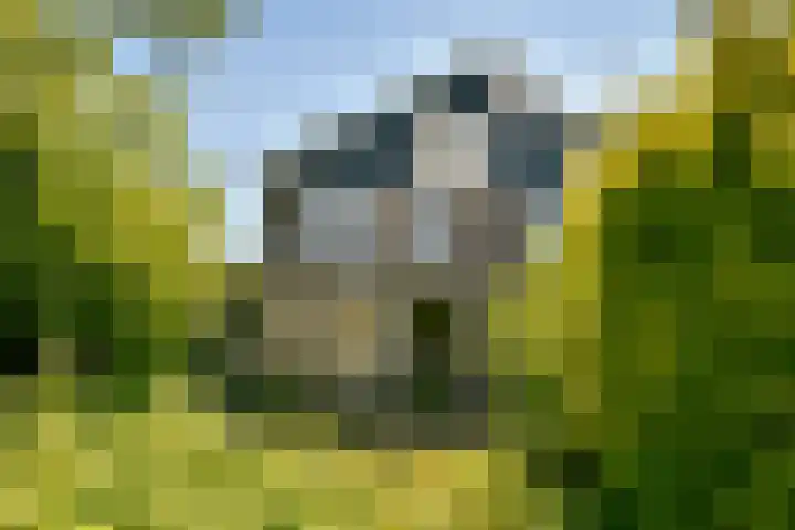 Zeezigt 424 Diemen thumbnail 15