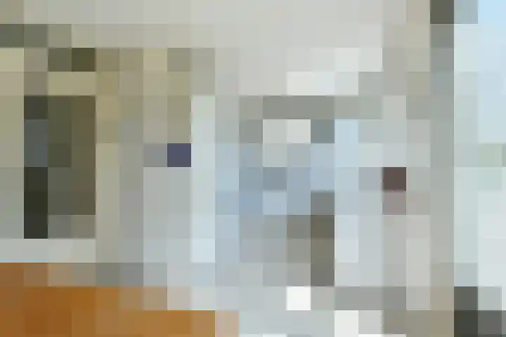 Zeezigt 424 Diemen thumbnail 4
