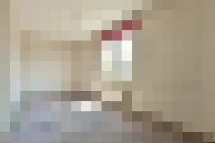 Zeezigt 424 Diemen thumbnail 9