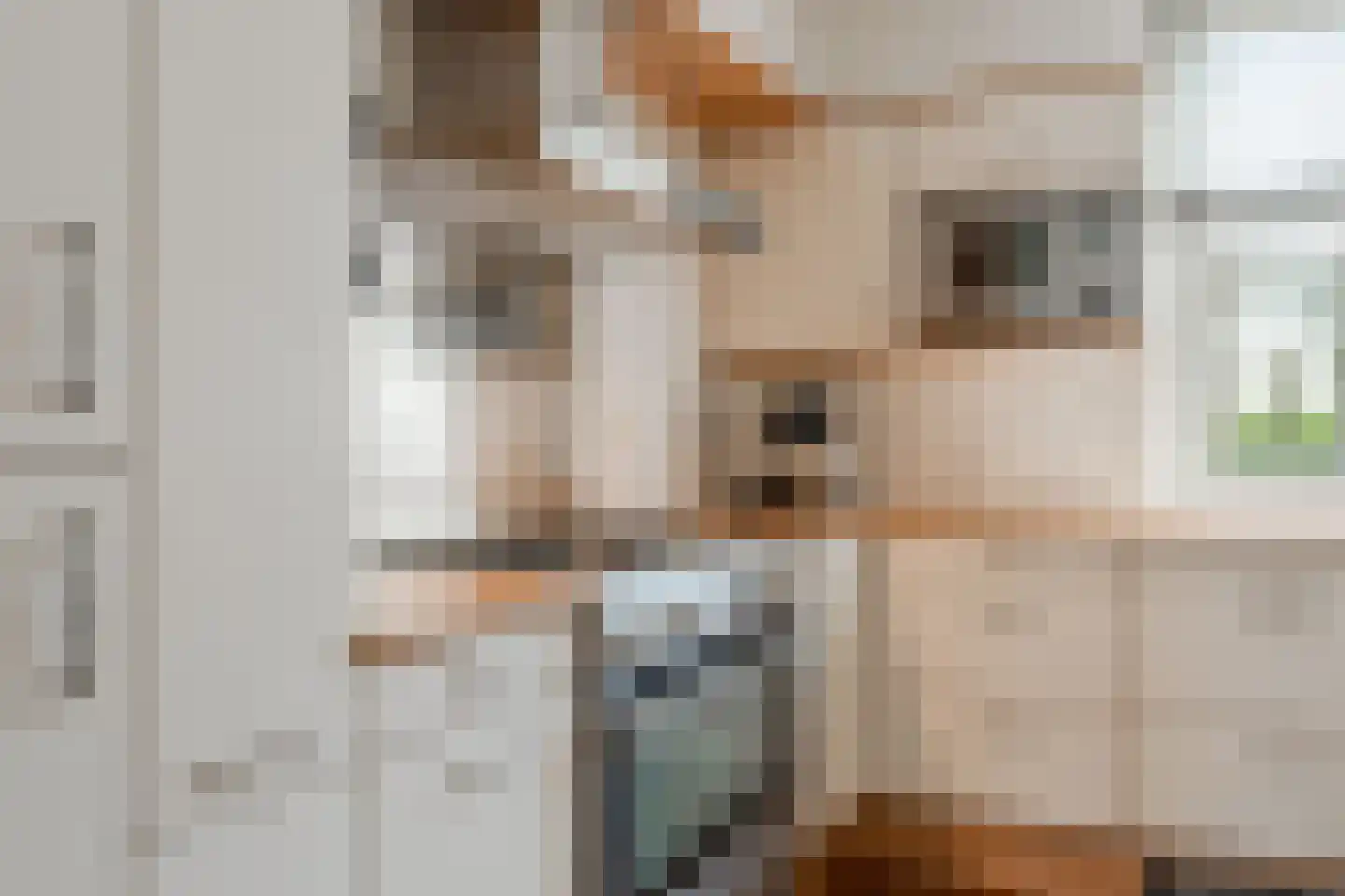 Zeezigt 5 Diemen thumbnail 20