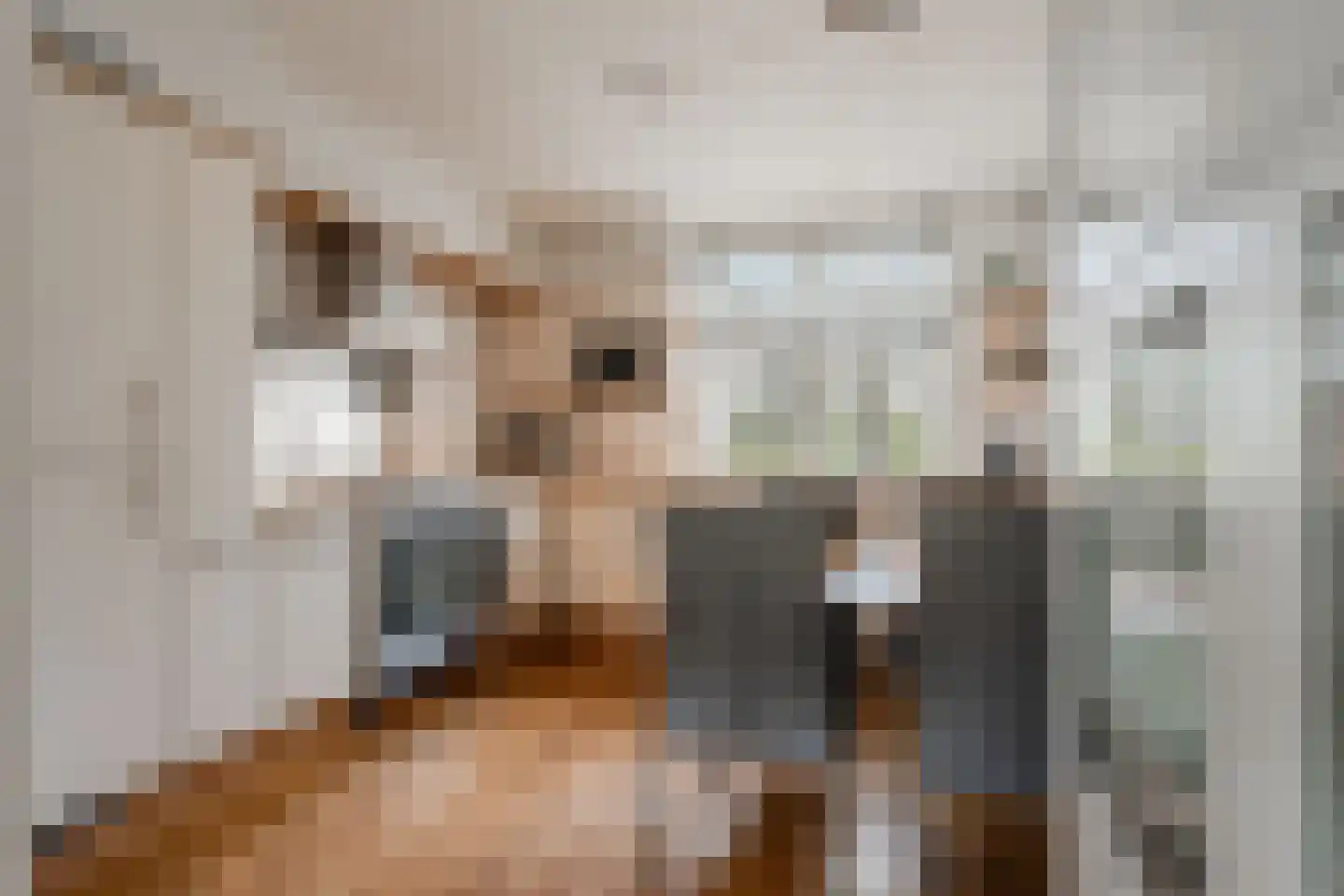 Zeezigt 5 Diemen thumbnail 4