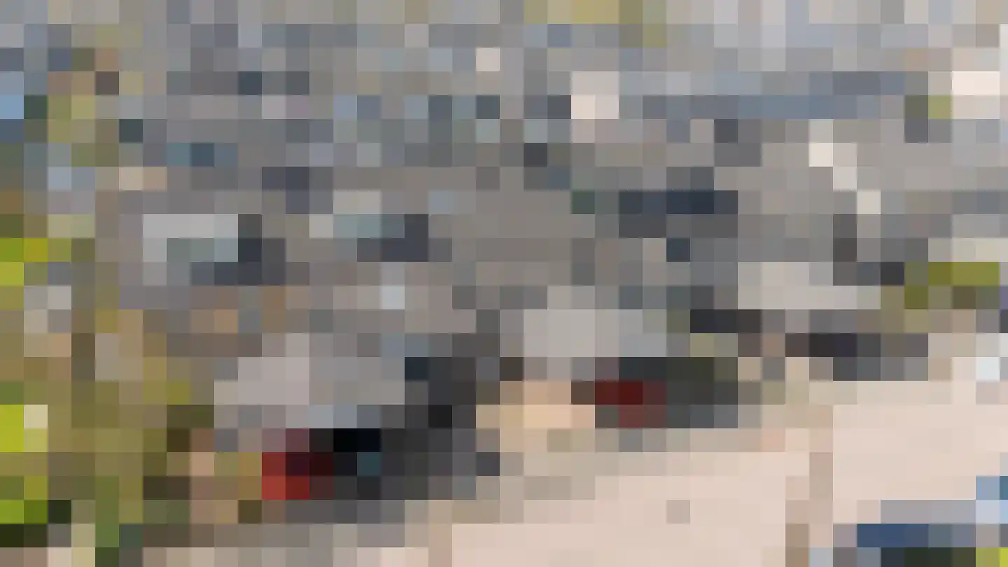 Zeezigt 5 Diemen thumbnail 55