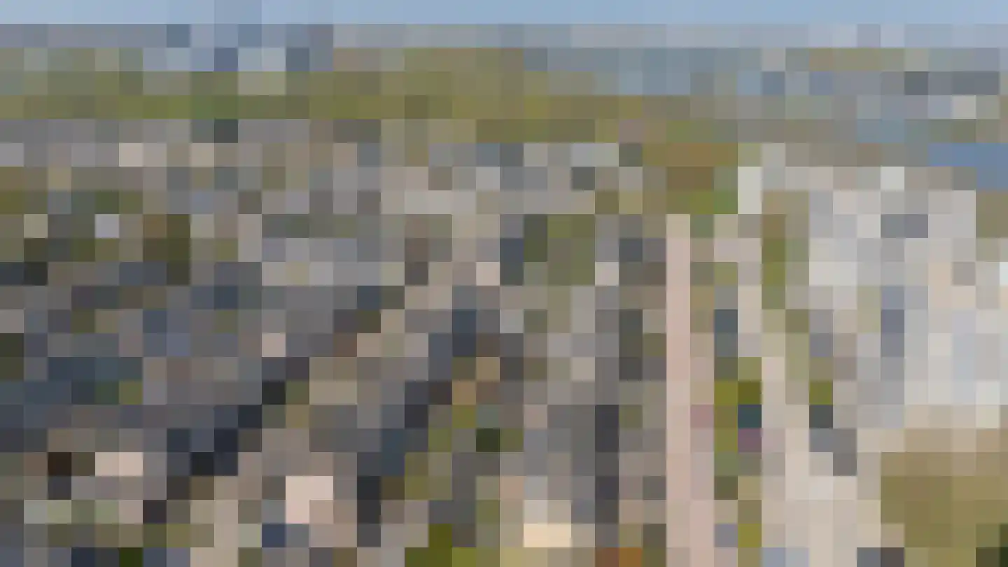 Zeezigt 5 Diemen thumbnail 58
