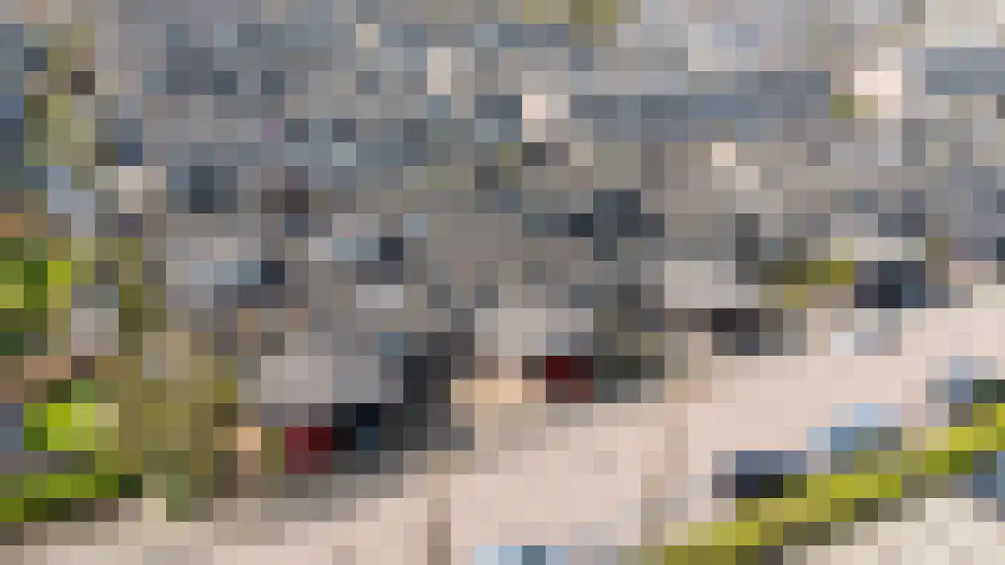 Zeezigt 5 Diemen thumbnail 7