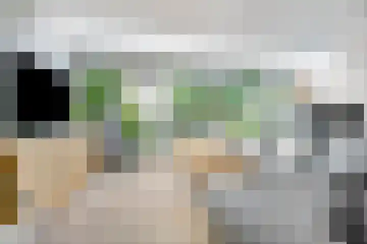 Zeezigt 59 Diemen thumbnail 12