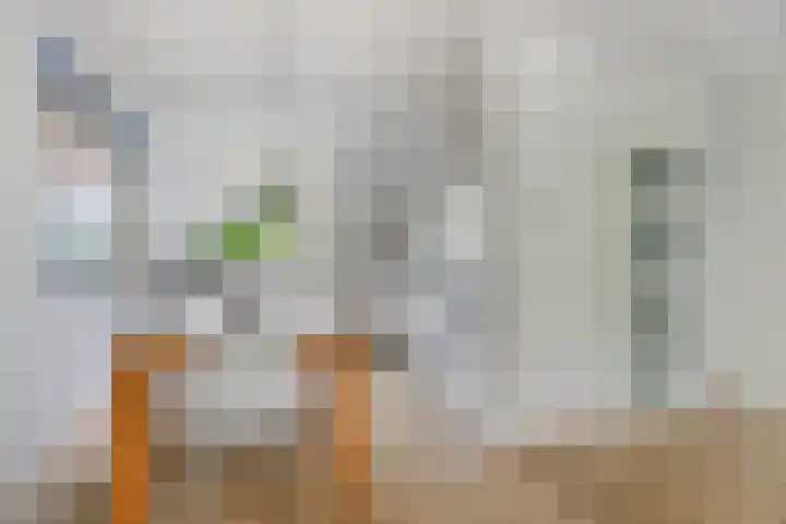 Zeezigt 59 Diemen thumbnail 14