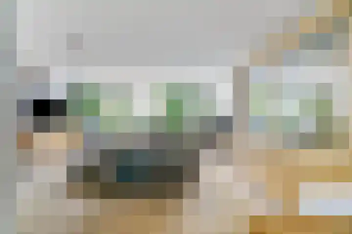Zeezigt 59 Diemen thumbnail 19