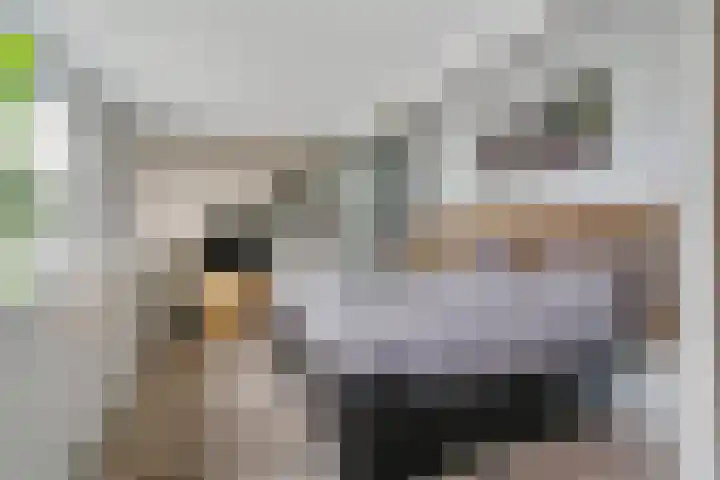 Zeezigt 59 Diemen thumbnail 31