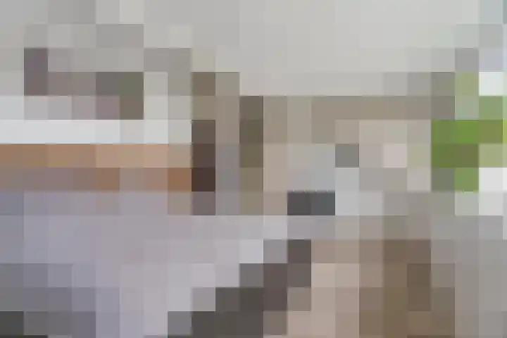 Zeezigt 59 Diemen thumbnail 32