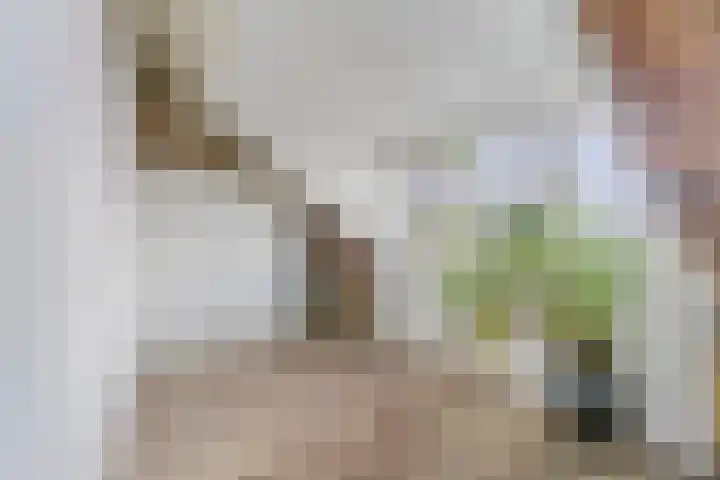 Zeezigt 59 Diemen thumbnail 33
