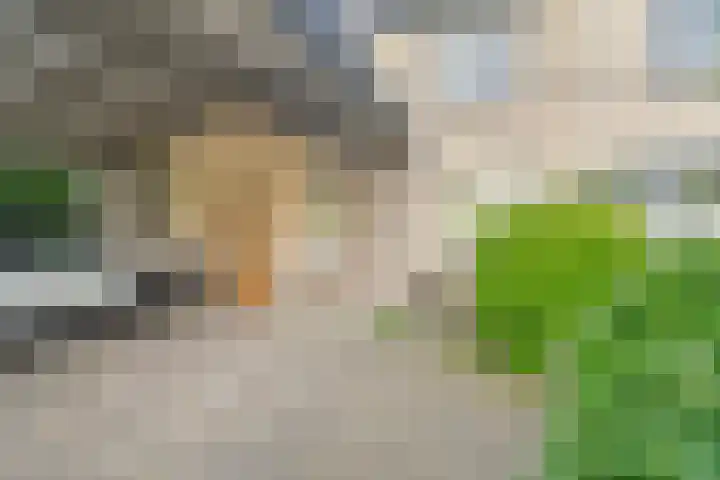 Zeezigt 59 Diemen thumbnail 40