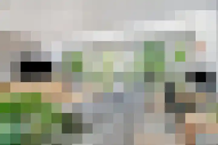 Zeezigt 59 Diemen thumbnail 6