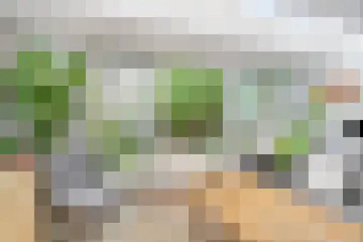 Zeezigt 59 Diemen thumbnail 8