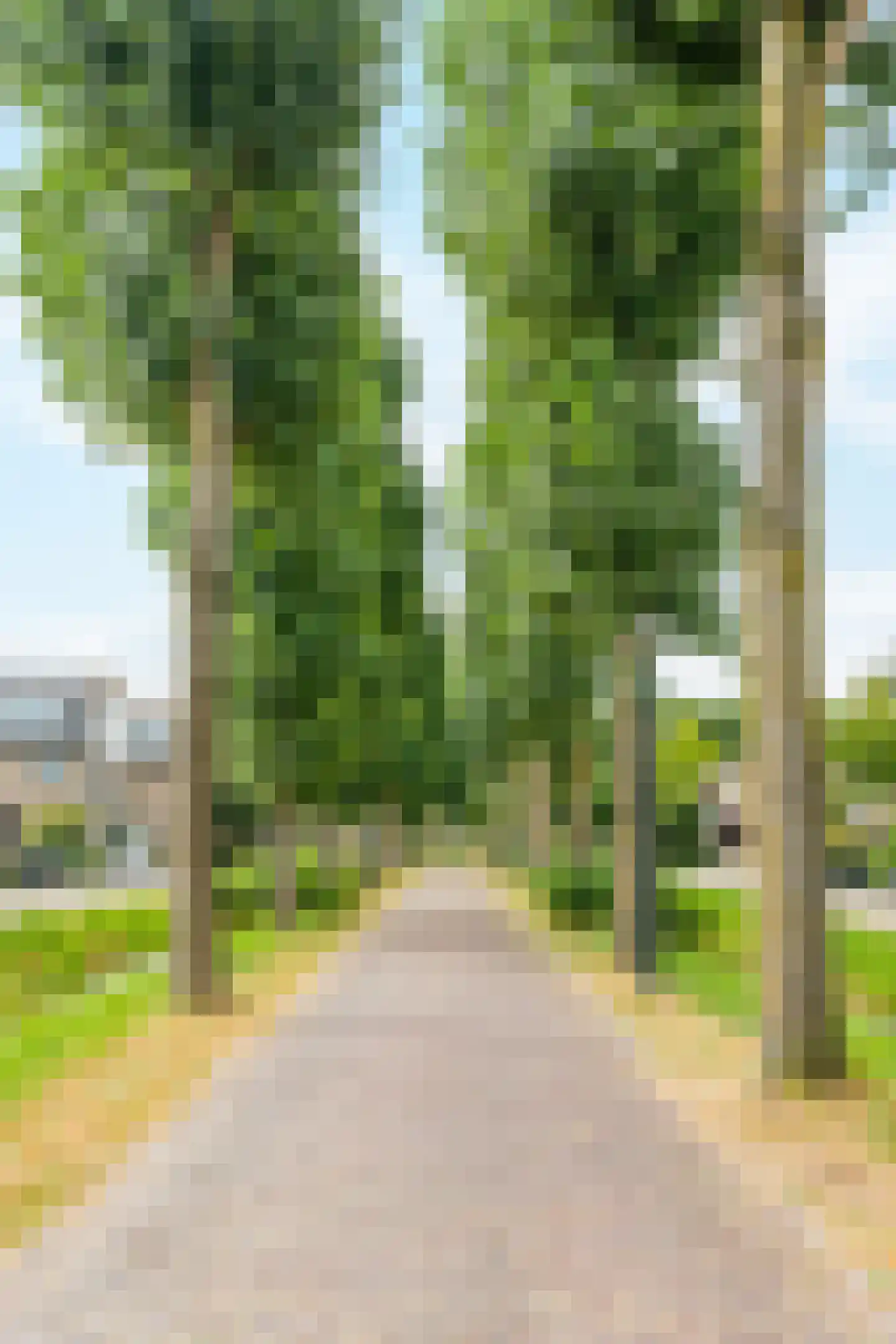 Zeezigt 79 Diemen thumbnail 47