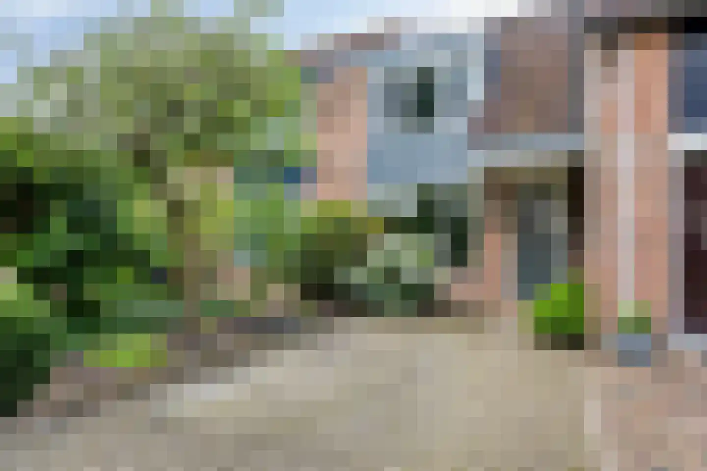Zeezwaluw 3 Veenendaal