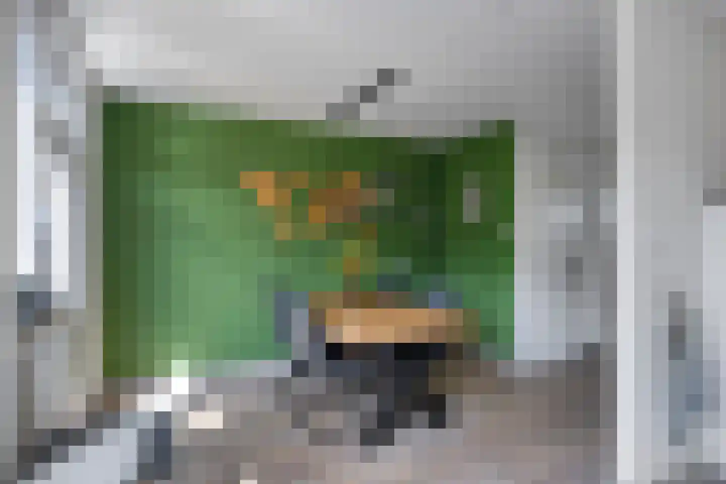 Zeezwaluw 3 Veenendaal thumbnail 11