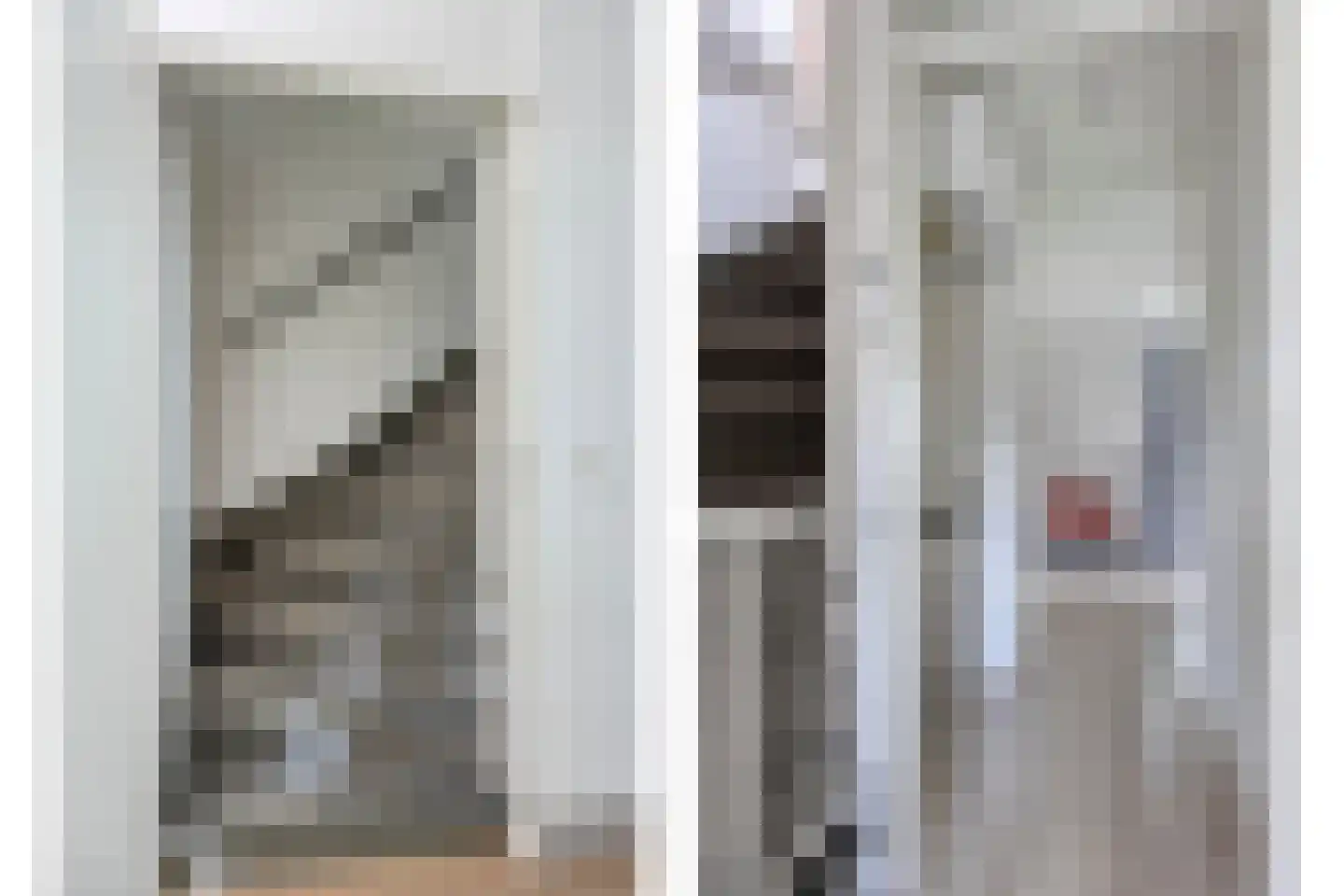 Zeezwaluw 3 Veenendaal thumbnail 12
