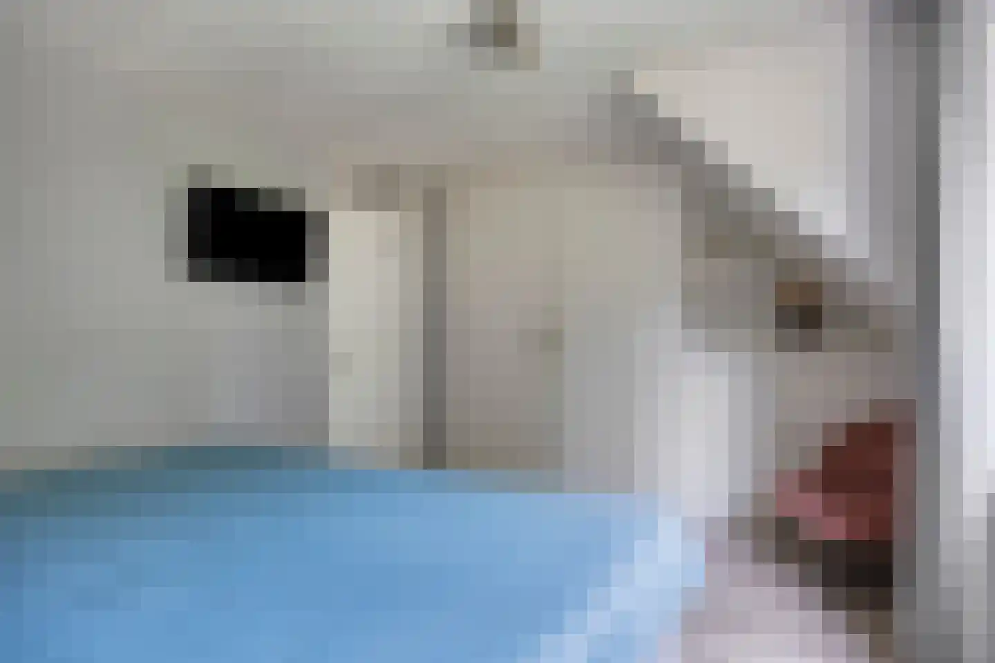 Zeezwaluw 3 Veenendaal thumbnail 14