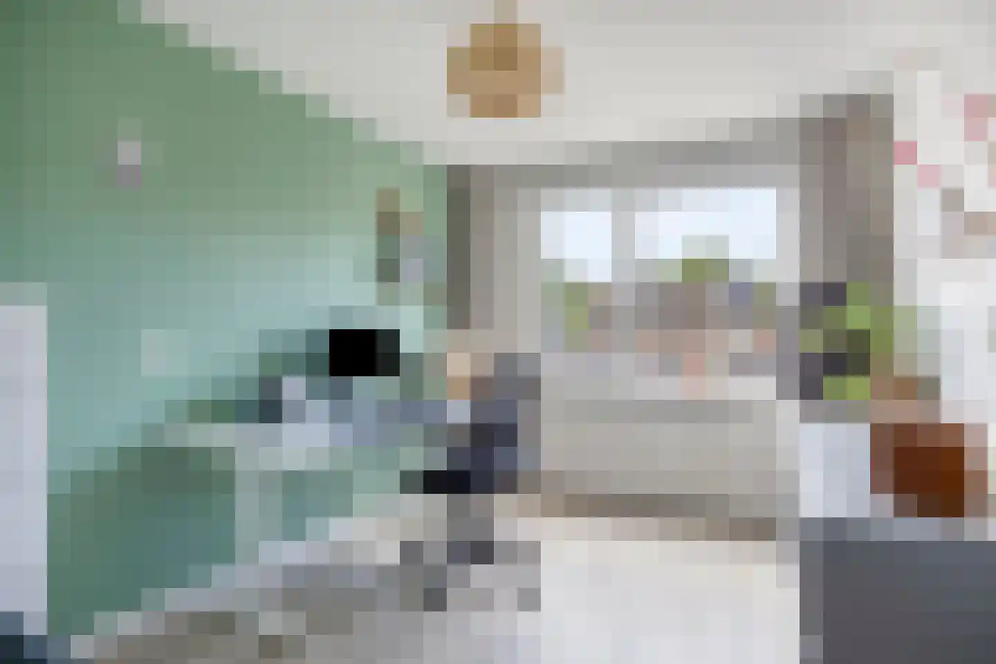 Zeezwaluw 3 Veenendaal thumbnail 16