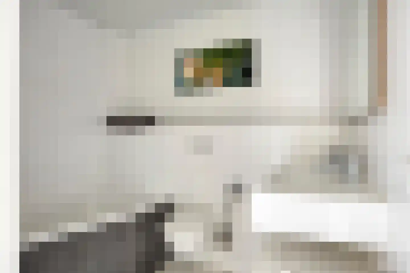 Zeezwaluw 3 Veenendaal thumbnail 18
