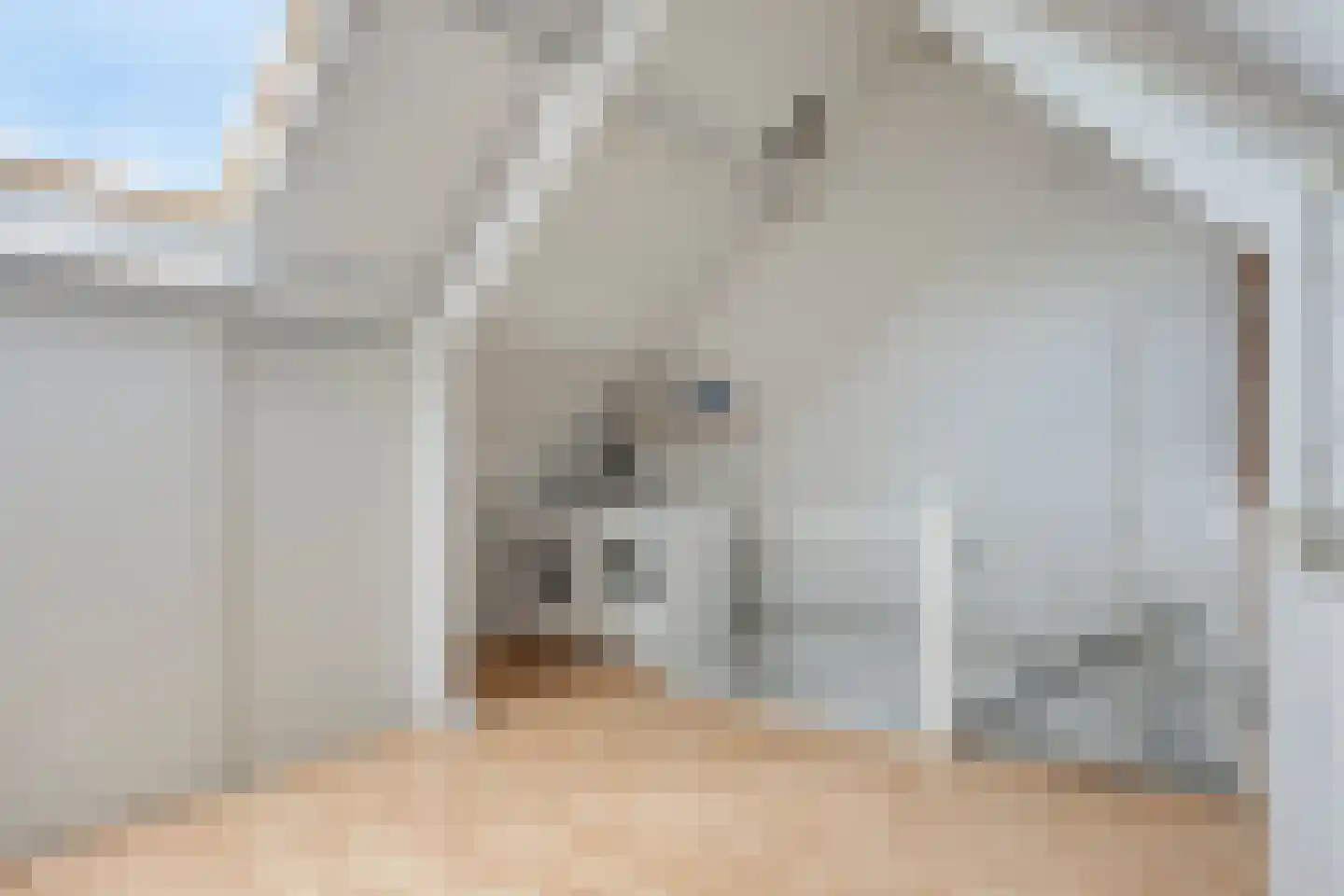 Zeezwaluw 3 Veenendaal thumbnail 20