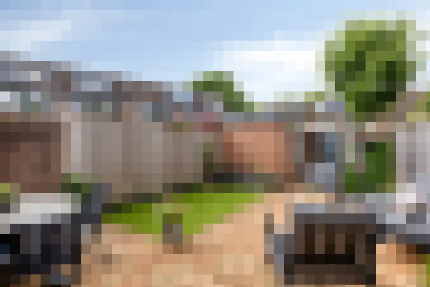 Zeezwaluw 3 Veenendaal thumbnail 22